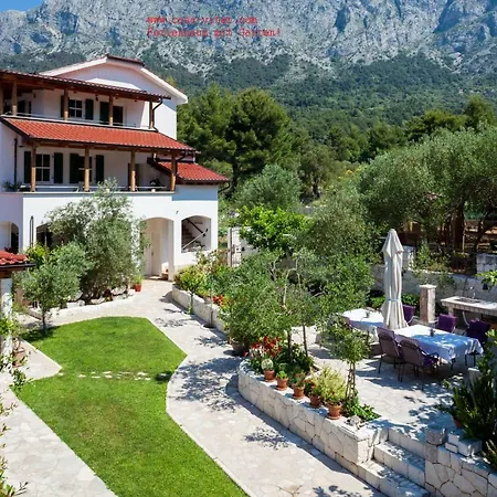 Appartement Casa Viter *