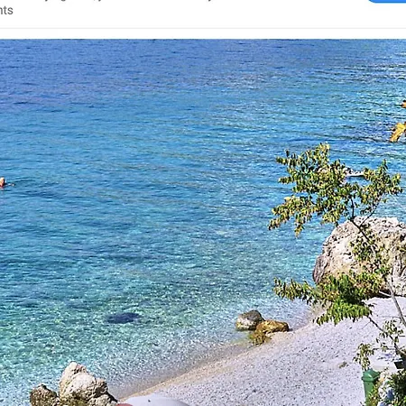 Casa Viter * ザオストログ