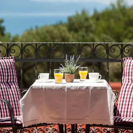 Casa Viter * ザオストログ